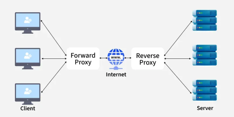 Forward and reverse proxy diagram