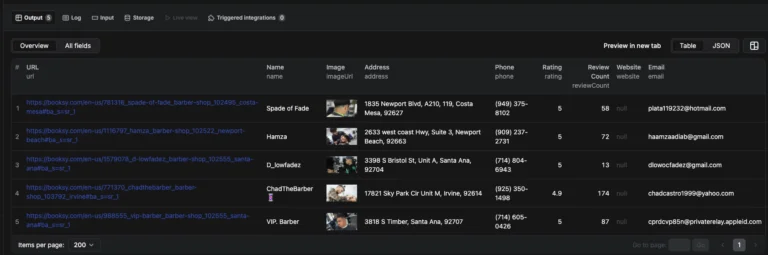 Actor output with scraped leads